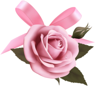 rosi.com.ua Приватна колекція троянд Наталії Валеріївни